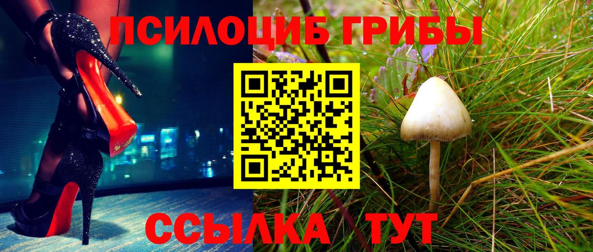 Галлюциногенные грибы Psilocybe  Вход с VPN  цена   Псилоцибиновые грибы мухоморы  Шарыпово 